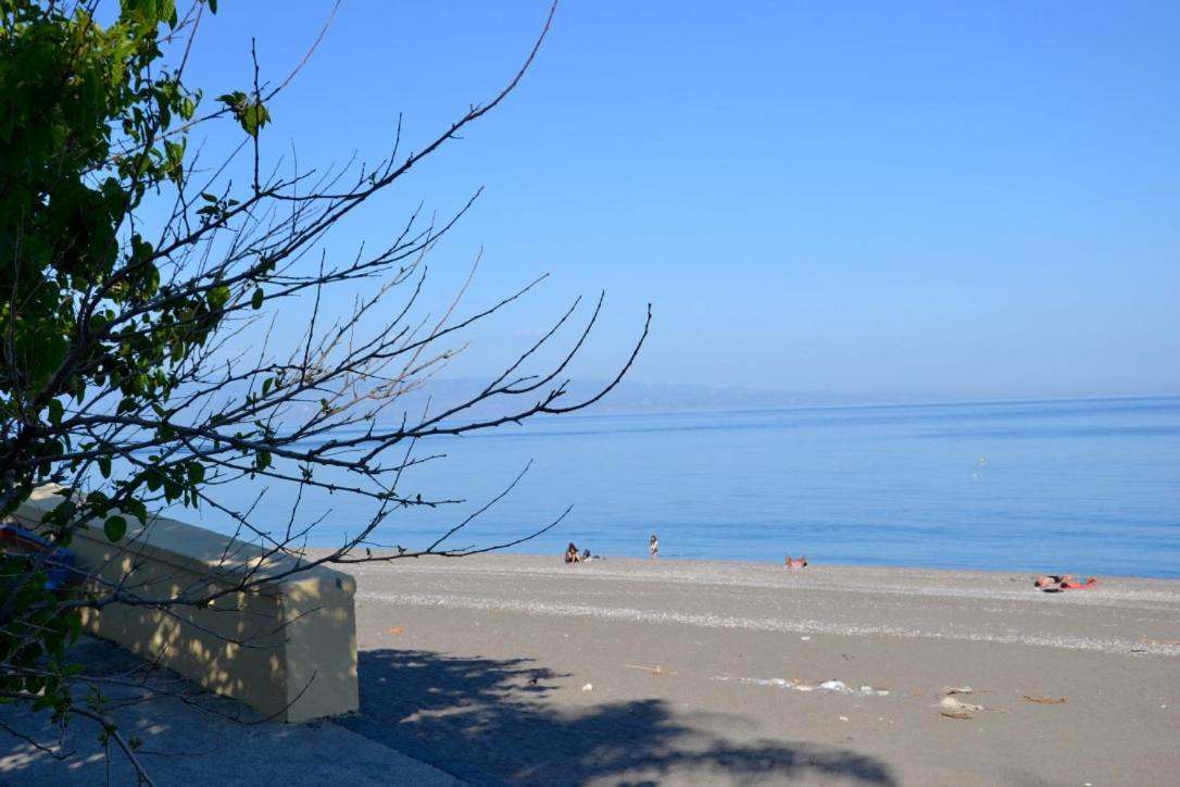 勒托阳尼I Tesori Del Mare住宿加早餐旅馆 外观 照片