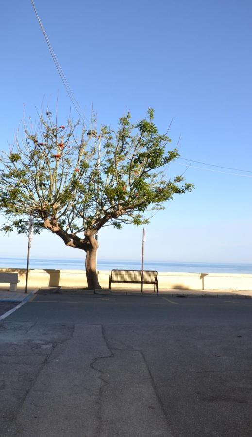勒托阳尼I Tesori Del Mare住宿加早餐旅馆 外观 照片