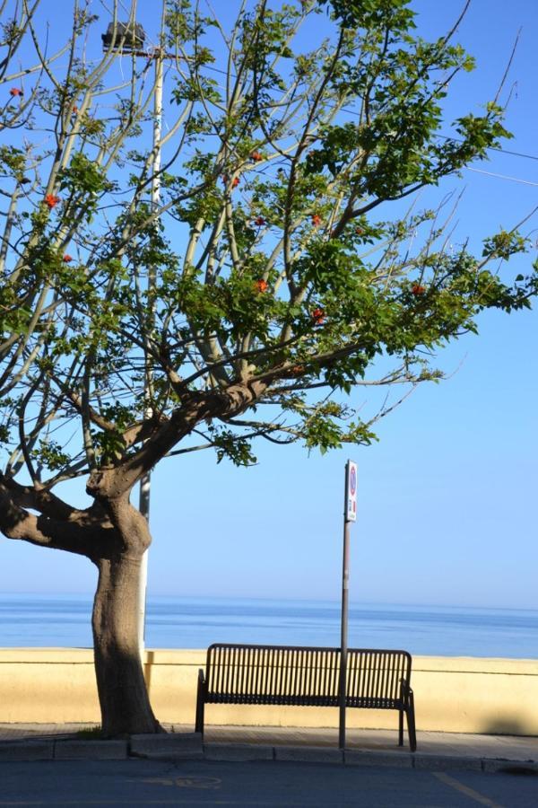 勒托阳尼I Tesori Del Mare住宿加早餐旅馆 外观 照片